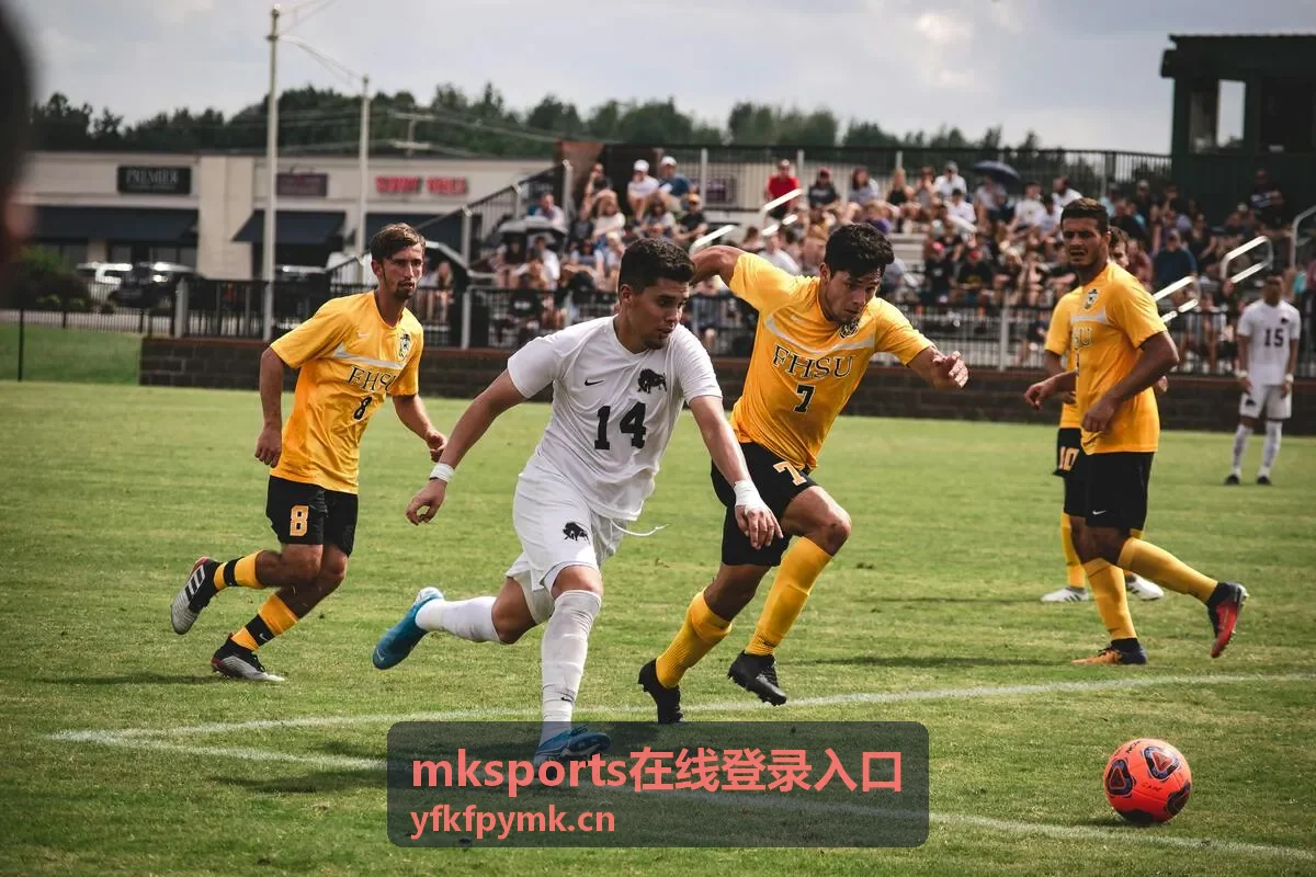 mksports在线登录入口会员权益示意图