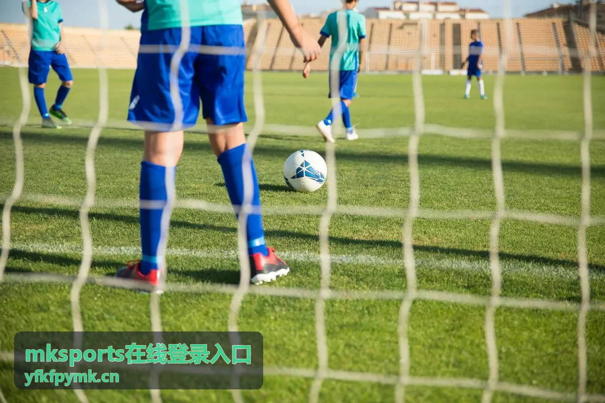 mksports在线登录入口会员等级差别说明图